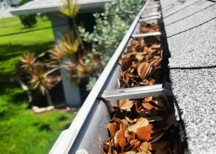 DeForest gutter cleaning home page